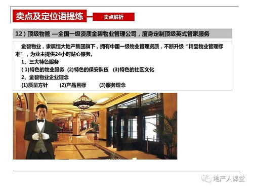 房地產(chǎn)開盤前營銷執(zhí)行策劃方案